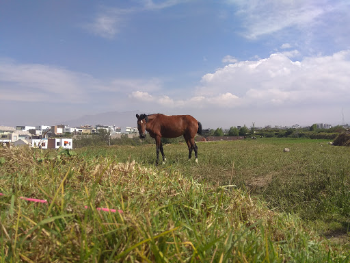 Los Portales de Cayma