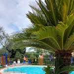 Photo n°1 de l'avis de Maria.a fait le 04/08/2021 à 19:39 sur le  Hotel Benaco à Sirmione