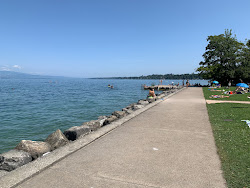Foto di Plage de la Savonniere e l'insediamento