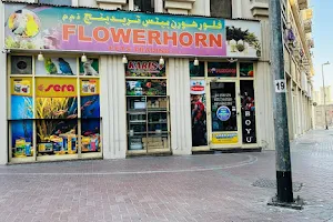 Flower Horn Pets Trading image