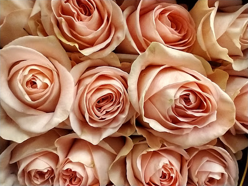 Florist «Grace Harper Florist, Inc.», reviews and photos, 4135 Woodward Ave, Detroit, MI 48201, USA