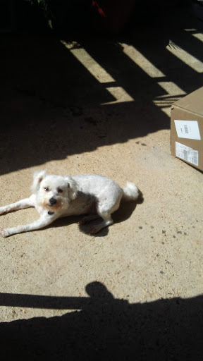 Pet Supply Store «Petco Animal Supplies», reviews and photos, 4030 N MacArthur Blvd #200, Irving, TX 75038, USA