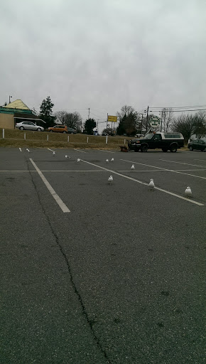 Department Store «Peebles», reviews and photos, 406 E Main St, Louisa, VA 23093, USA