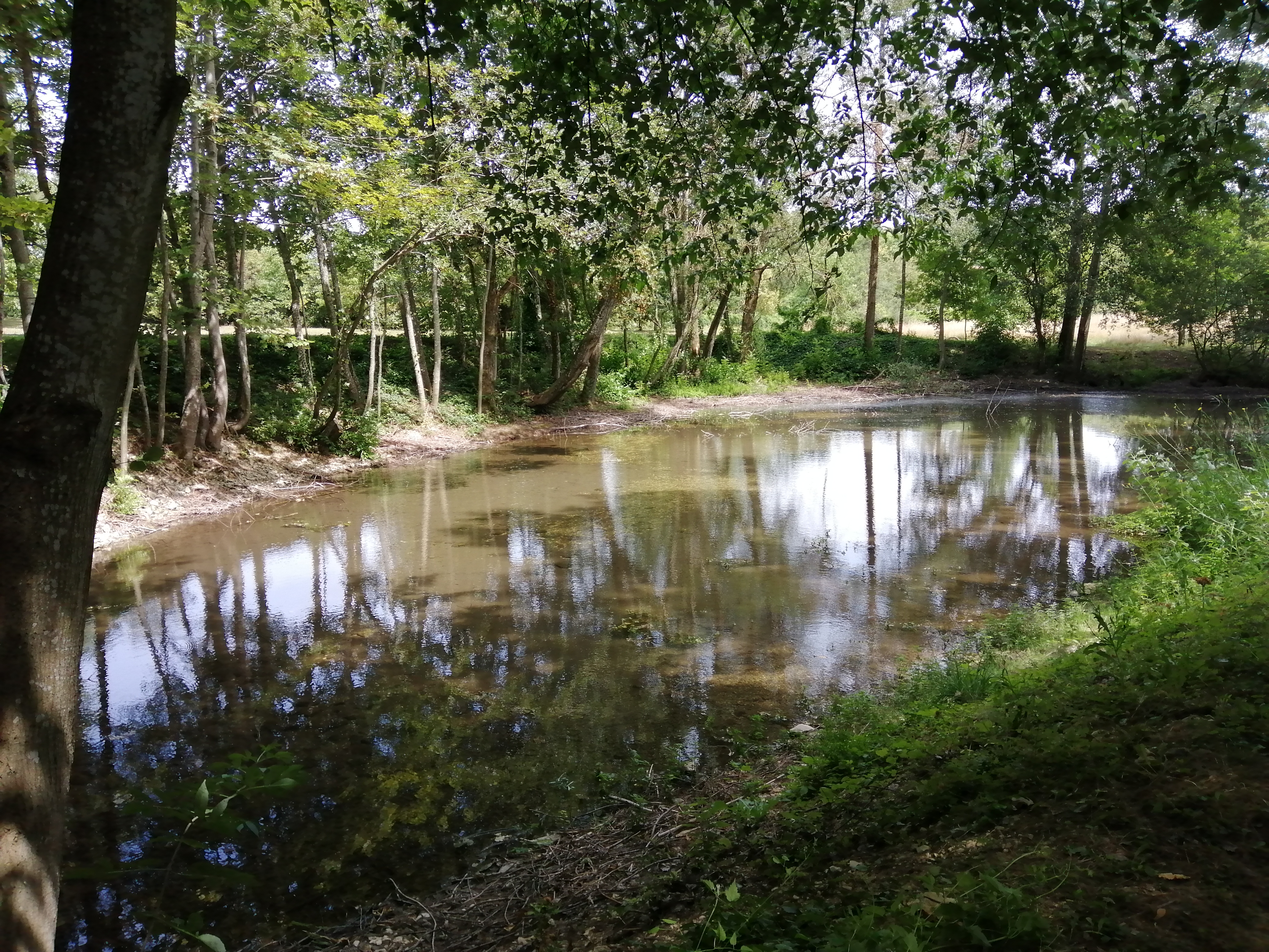 Photo n° 5 de l'avis de Marie-France.o fait le 27/07/2020 à 05:06