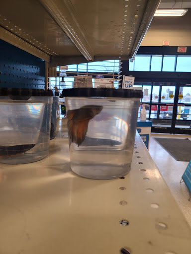 Shopping Mall «Cottman-Bustleton Center», reviews and photos, 2139 Cottman Ave, Philadelphia, PA 19149, USA