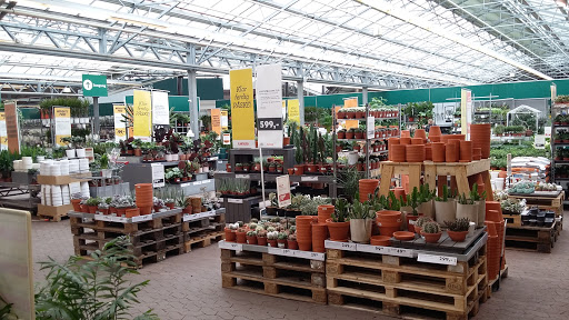 Butikker for å kjøpe innendørs planter Oslo