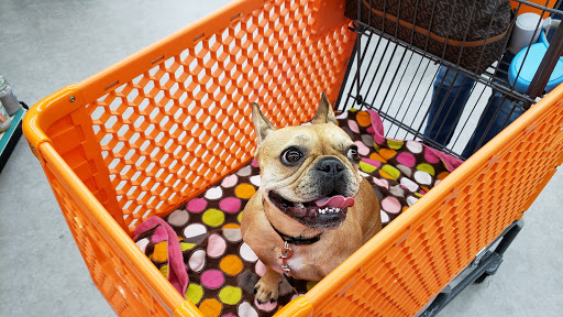 Shopping Mall «Carbon Plaza Mall», reviews and photos, 1241 Blakeslee Blvd Dr E, Lehighton, PA 18235, USA