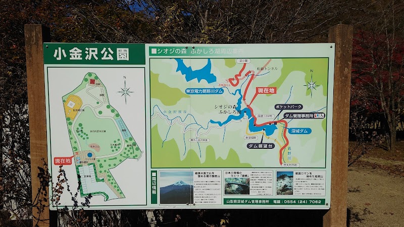 小金沢公園
