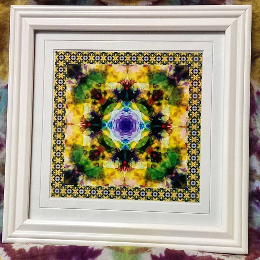 Art Gallery «Homegrown Collectives», reviews and photos, 364 Southland Dr, Lexington, KY 40503, USA