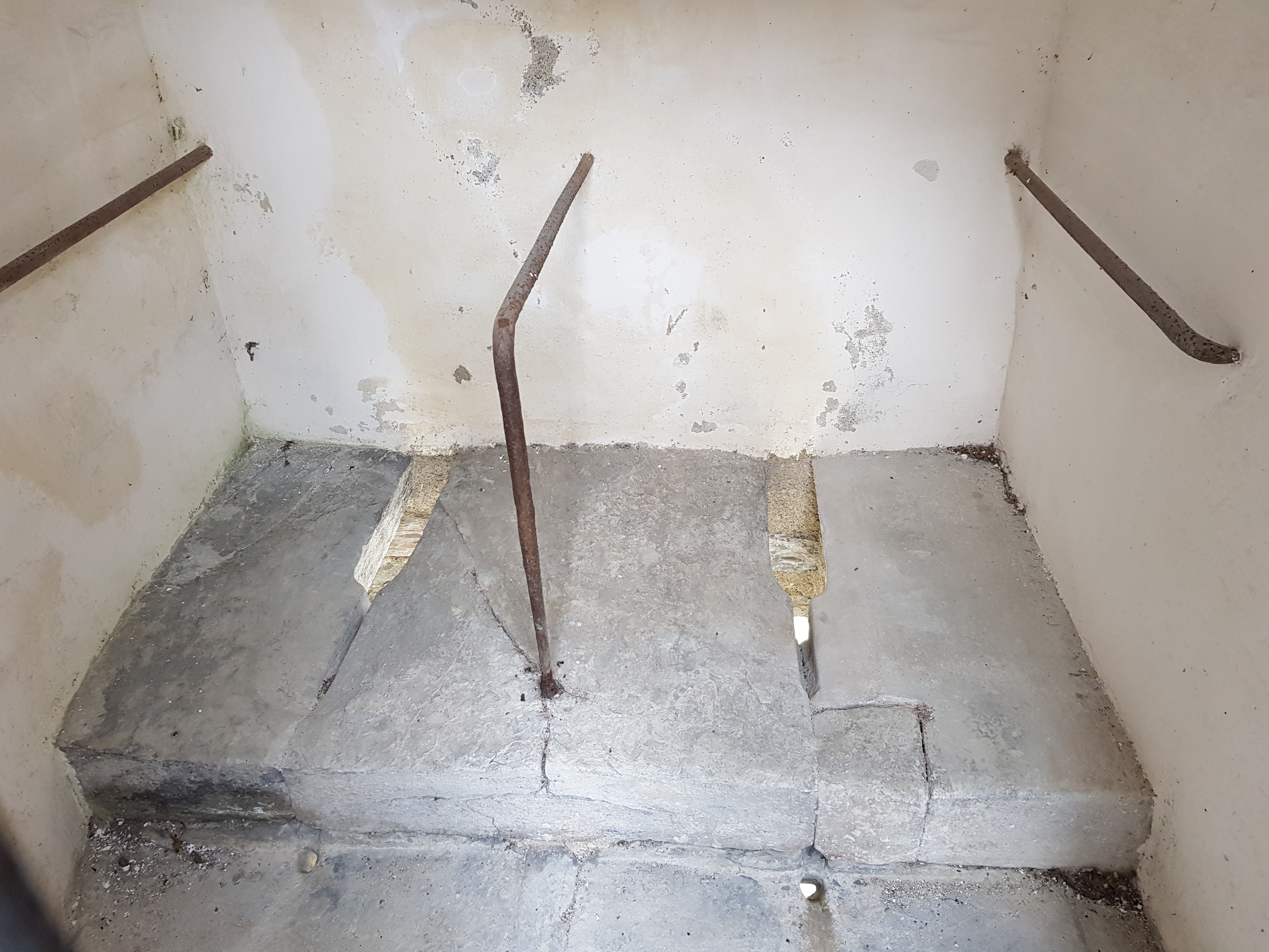 Photo n° 47 de l'avis de Peyrelade.e fait le 31/03/2019 à 15:44