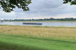 Rheinufer kurz vor Treidelpunkt Neuss Erftmündung - Düsseldorf Hamm image