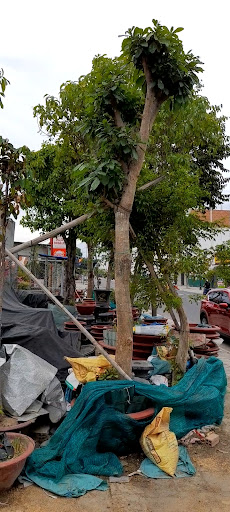 Top 7 cửa hàng hồng nhiên Huyện Khánh Vĩnh Khánh Hòa 2022