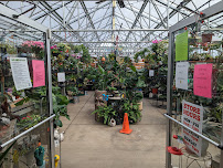 Zamzows - State Street - Photo 4 - Car repair in Boise, ID, Boise