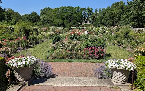 Cranford Rose Garden image