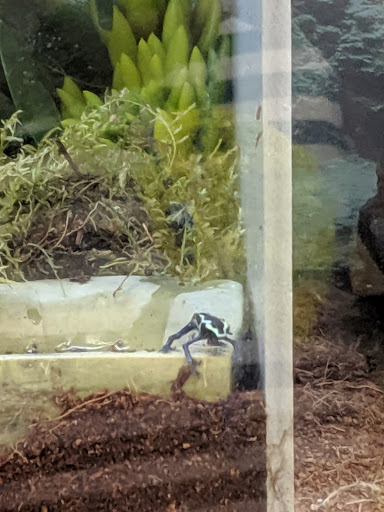 Pet Supply Store «Petco Animal Supplies», reviews and photos, 1215-1309 NJ-33 #1, Hamilton Township, NJ 08690, USA