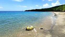 Anse Cochon beach'in fotoğrafı uzun koy ile birlikte
