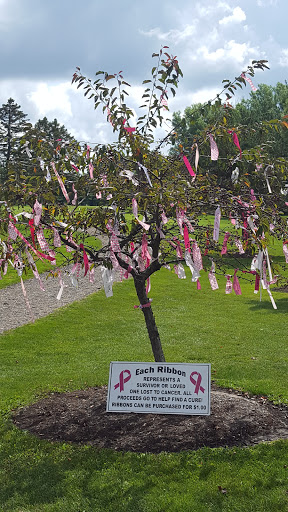 Golf Course «Bob-O-Link Golf Course», reviews and photos, 4141 Center Rd, Avon, OH 44011, USA