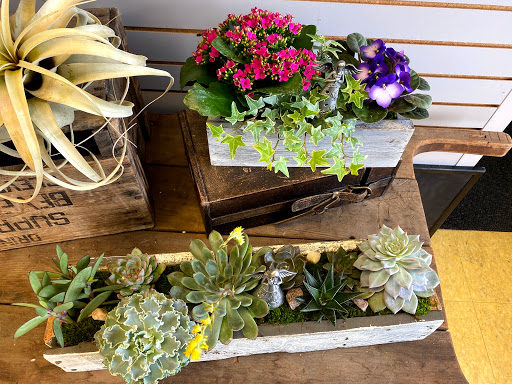 Florist «Petals of Love», reviews and photos, 5350 W 130th St, Brook Park, OH 44142, USA