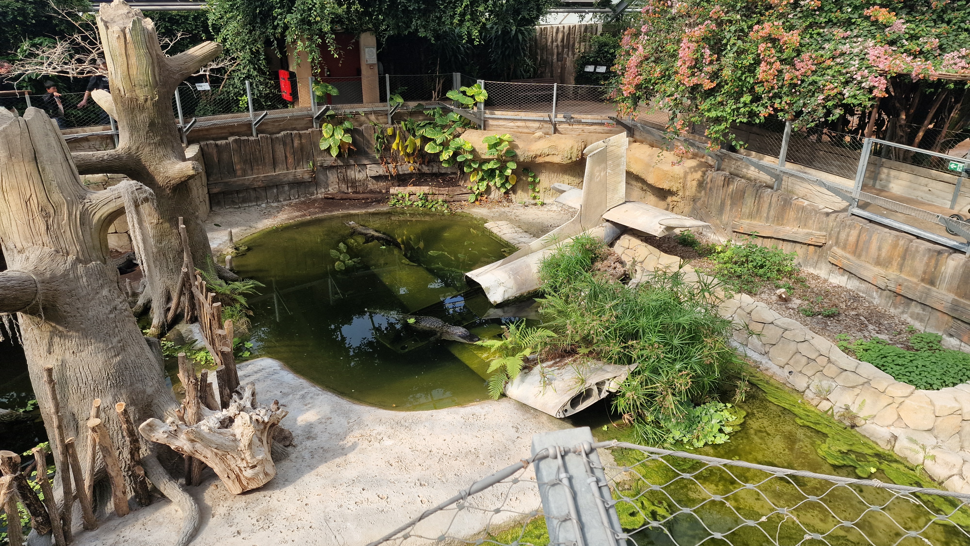 Photo n° 20 de l'avis de Gaelle.h fait le 23/07/2023 à 15:11