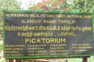 Topslip Anamalai Tiger Reserve (ATR) image