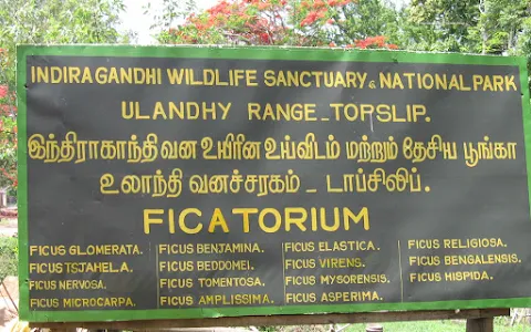 Topslip Anamalai Tiger Reserve (ATR) image