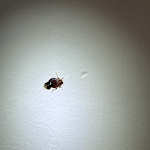 Photo n°2 de l'avis de rebecca.d fait le 20/09/2023 à 15:16 sur le  Grand Visconti Palace Hotel à Milan