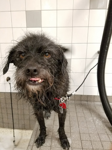 Pet Supply Store «Pet Food Express», reviews and photos, 372 Woodside Rd, Redwood City, CA 94061, USA