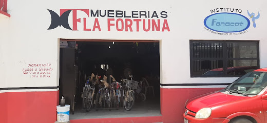 MUEBLERIAS LA FORTUNA