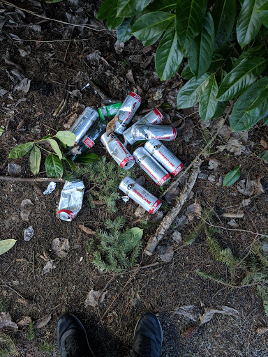 Park «Mineral Springs Park», reviews and photos, 1500 N 105th St, Seattle, WA 98133, USA