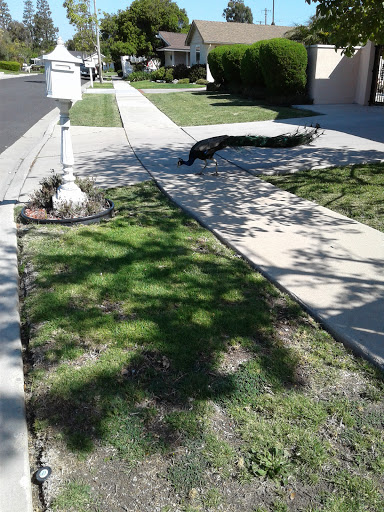 Auto Repair Shop «Granvia Automotive», reviews and photos, 28103 Hawthorne Blvd, Rancho Palos Verdes, CA 90275, USA