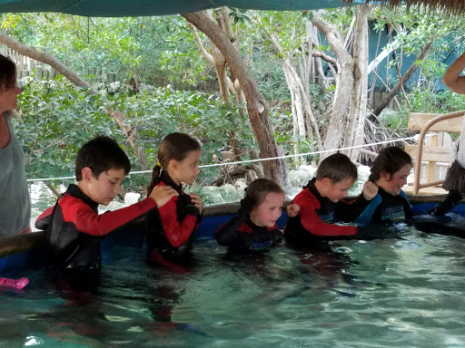 Aquarium «Florida Keys Aquarium Encounters», reviews and photos, 11710 Overseas Hwy, Marathon, FL 33050, USA