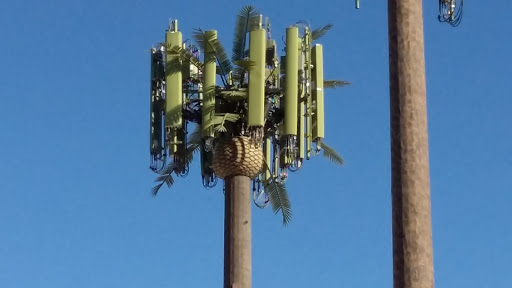 Park «Centennial Hills Park», reviews and photos, 7101 N Buffalo Dr, Las Vegas, NV 89131, USA