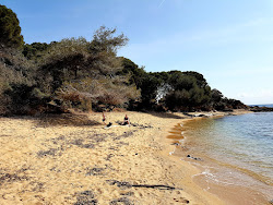 Foto di Plage de la Garrigue con molto pulita livello di pulizia