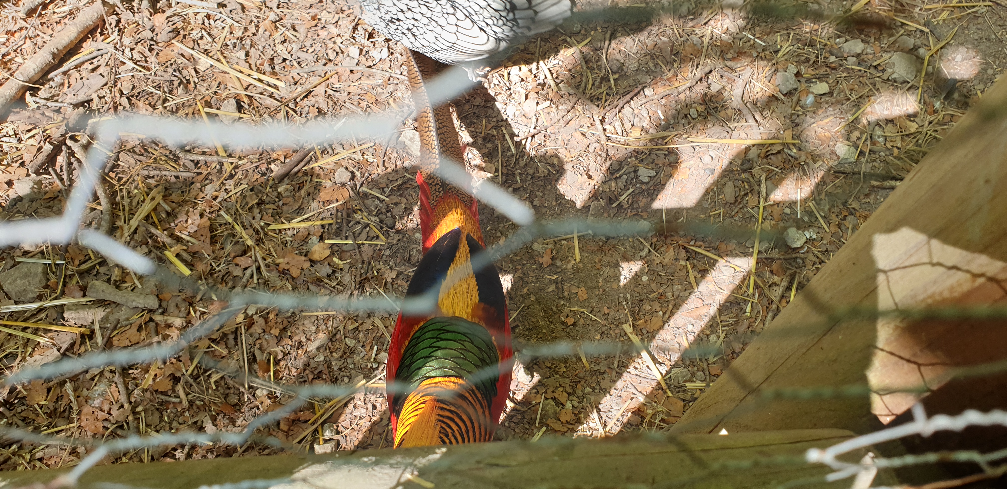 Photo n° 18 de l'avis de Dominique.A fait le 05/05/2022 à 18:02