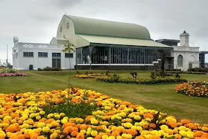 The Patti Pavilion image