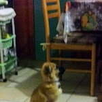 Photo n°1 de l'avis de Giuseppe.c fait le 27/06/2020 à 20:57 sur le  Cristal à Ferriera