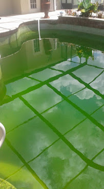 Swim Time - Photo 5 - Car repair in , Spring Hill