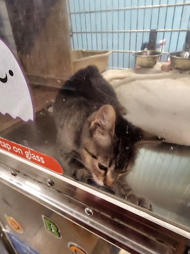 Pet Supply Store «PetSmart», reviews and photos, 13337 Worth Ave, Woodbridge, VA 22192, USA