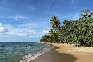 Playa Punta Uva image