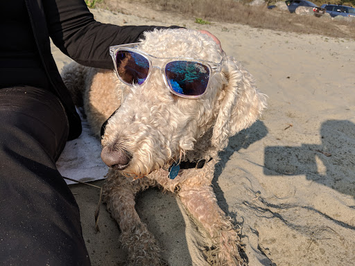 Pet Supply Store «Pet Food Express», reviews and photos, 912 Diablo Ave, Novato, CA 94947, USA