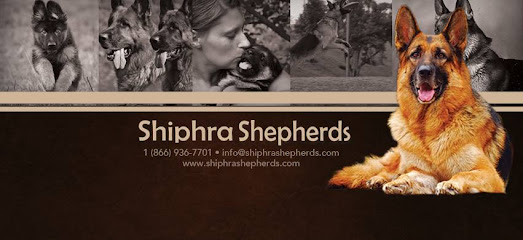 Shiphra German Shepherds