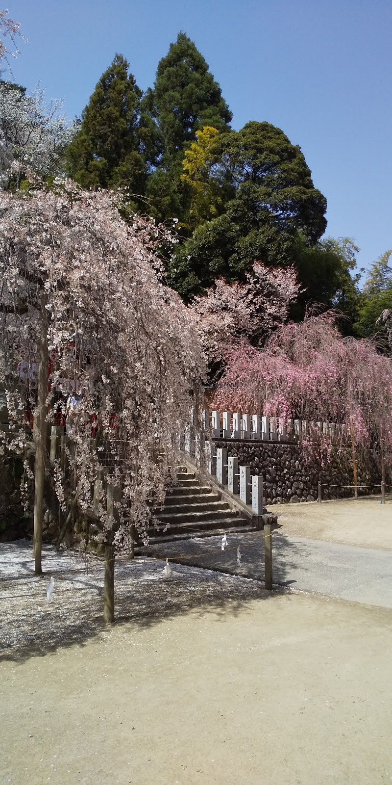 翠ヶ丘公園 福島県須賀川市愛宕山 公園 公園 グルコミ