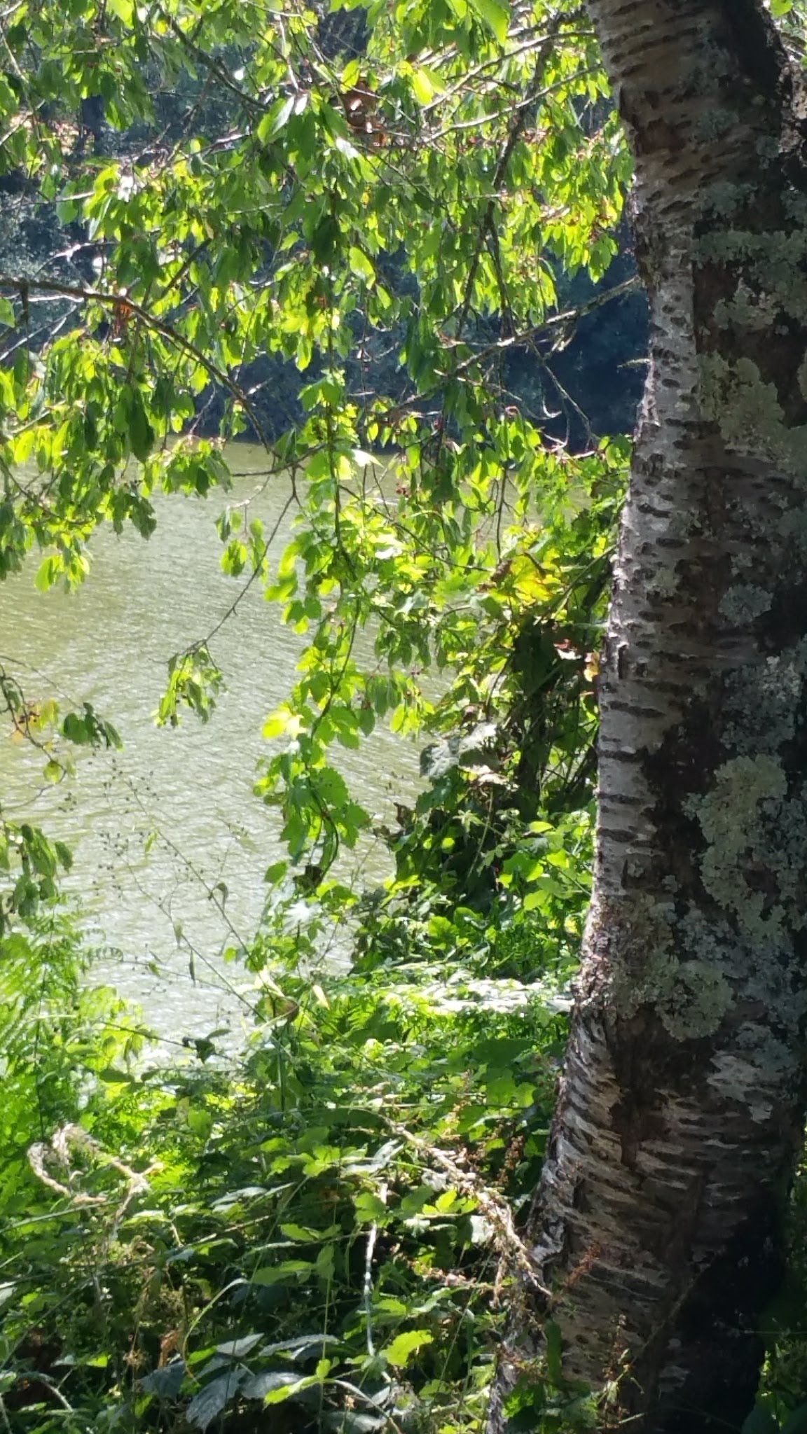 Photo n° 5 de l'avis de Michel.a fait le 04/07/2019 à 16:58
