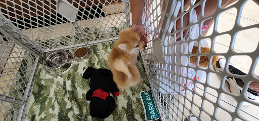 Pet Supply Store «Lil Rascals», reviews and photos, 10035 Gulf Center Dr #105, Fort Myers, FL 33913, USA