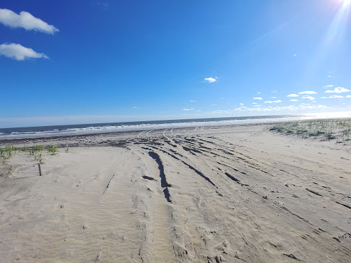 Historical Landmark «Lucy the Elephant», reviews and photos, 9200 Atlantic Ave, Margate City, NJ 08402, USA