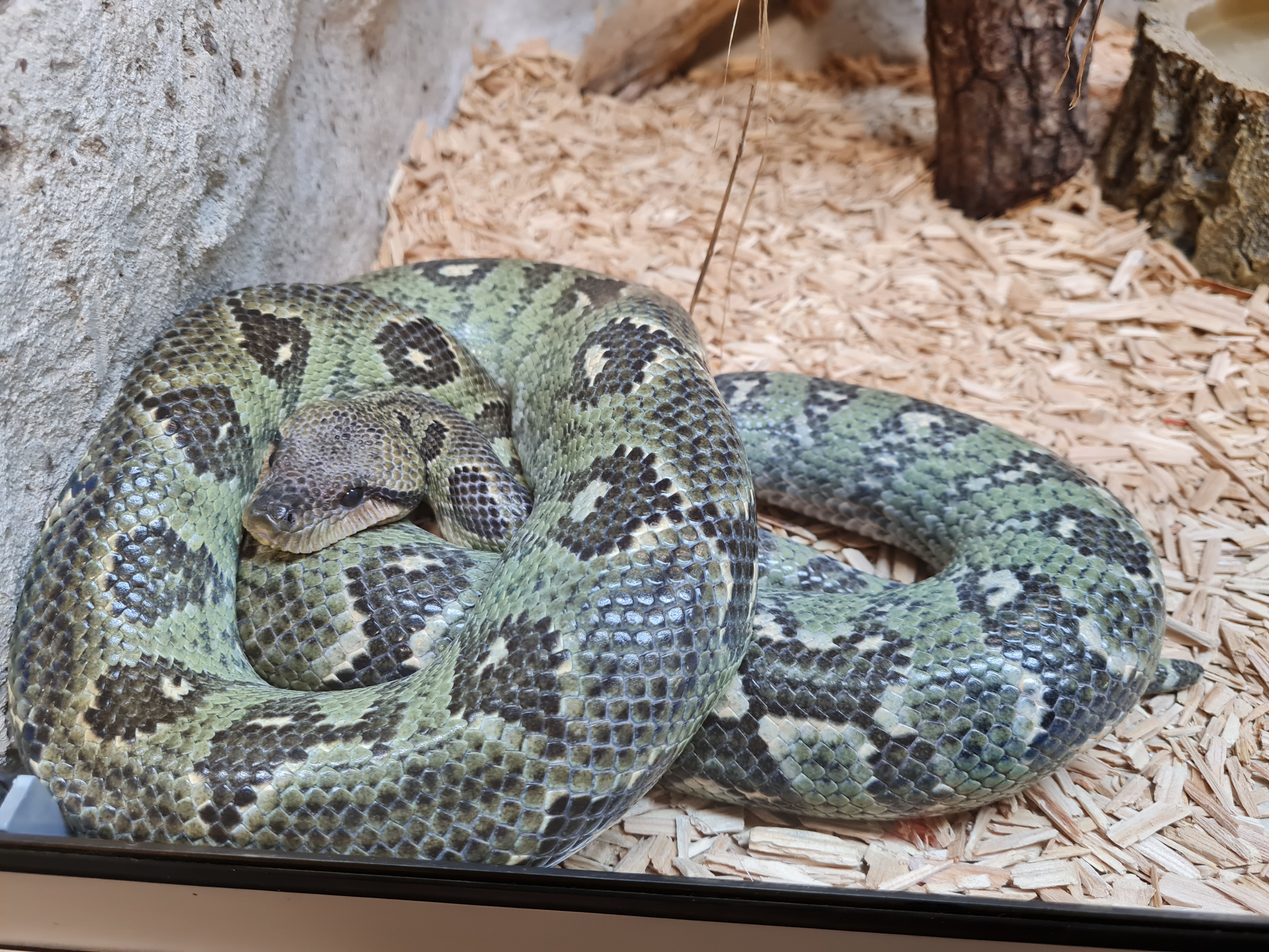 Photo n° 3 de l'avis de Lorianne.E fait le 07/05/2023 à 12:19