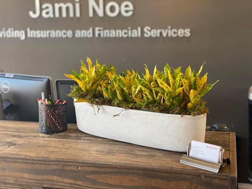 Insurance Agency «Jami Noe - State Farm Insurance Agent», reviews and photos