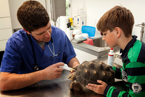 Tierarztpraxis Dr. Marcellus Bürkle | Bird Consulting International unter Achern, Baden Württemberg