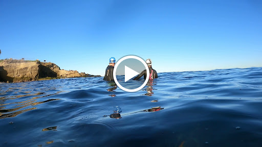 Sporting Goods Store «La Jolla Swim and Sport», reviews and photos, 1008 Torrey Pines Rd, La Jolla, CA 92037, USA