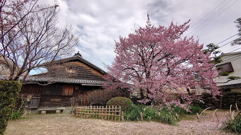 蜂須賀桜と武家屋敷の会